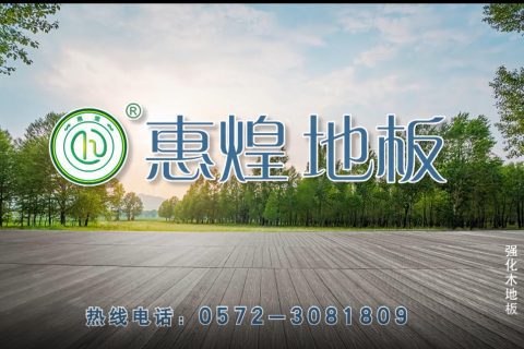 惠煌地板衛視投放案例